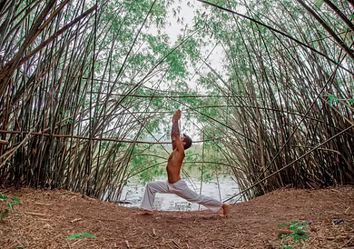 Medicina Psicosomática